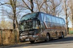 XMQ6129Y5树立客车典范