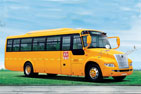 恒通客车CKZ6104CDX4