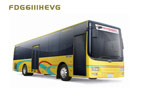 五洲龙FDG6111HEVG