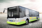 扬子江WG6120BEVHM