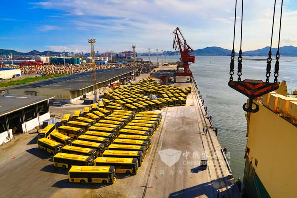 金旅校车批量出口沙特