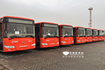 金龙匠心再铸丰碑—300辆金龙客车精品公交出口沙特