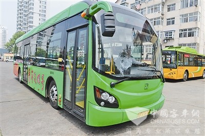 青岛：公交304路001号换新装