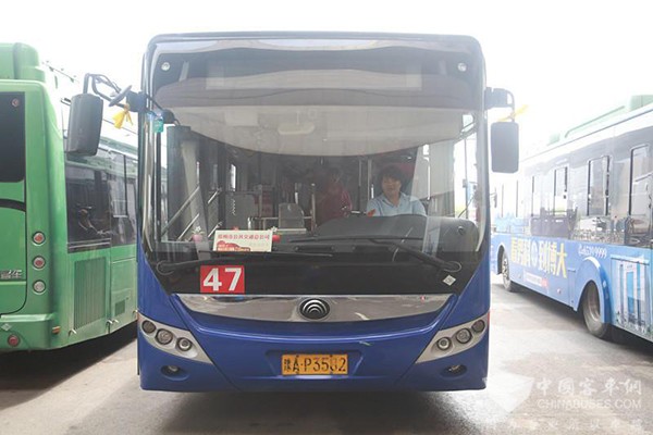 河南:郑州公交爱心车厢 车内装饰鲜花为考生减压