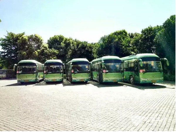 高温下待命的金龙客车