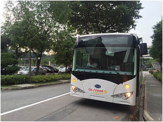 狮城首发，比亚迪纯电动开启新加坡公交新纪元