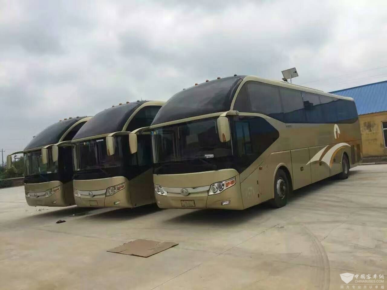 大量收购宇通牌大客车，53-55座