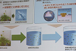 试管内合成天然橡胶，意在提高轮胎性能