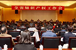 法士特荣膺“国家知识产权优势企业”