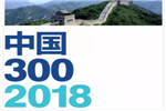 3轮胎品牌入选中国300强榜单