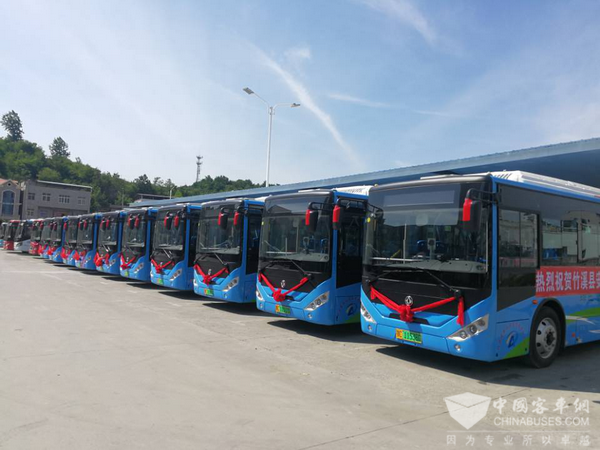 东风超龙伴竹溪 有凤来仪择木栖 