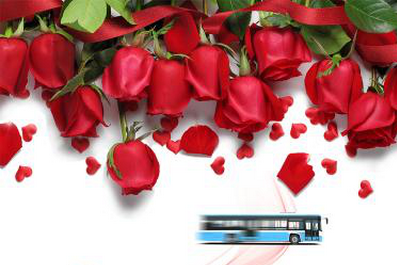 有爱，就不怕路远——献给爱客车的人