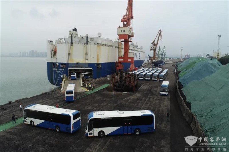 200辆金龙客车出口塞浦路斯