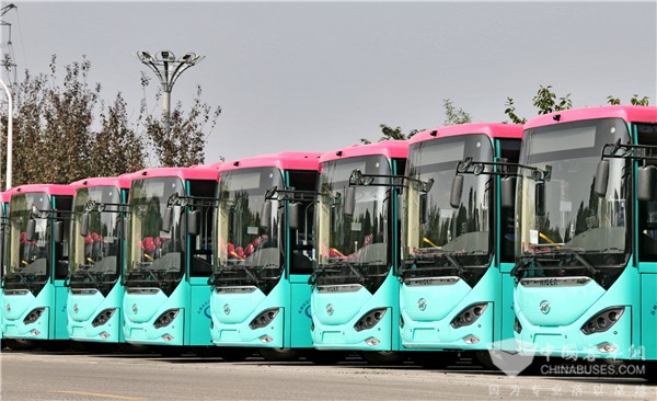 车轮滚滚 苏州金龙助长三角一体化发展跑出“加速度”