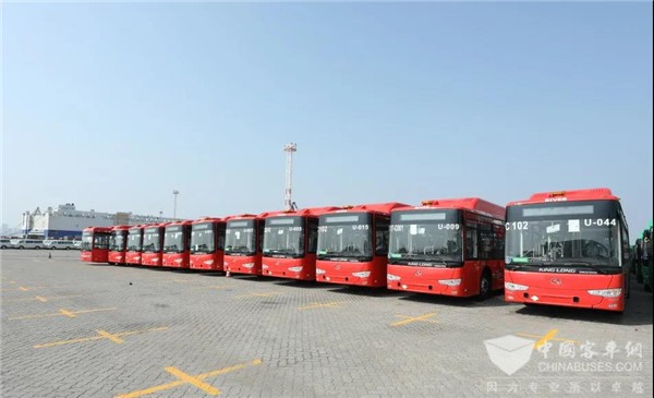 结合国情量身定制 166辆金龙天然气公交出口墨西哥