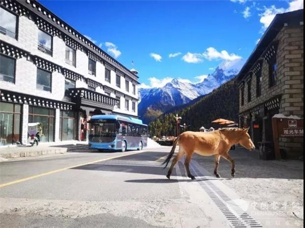 随金龙地铁巴士 开启一场与美景美食的打卡之旅