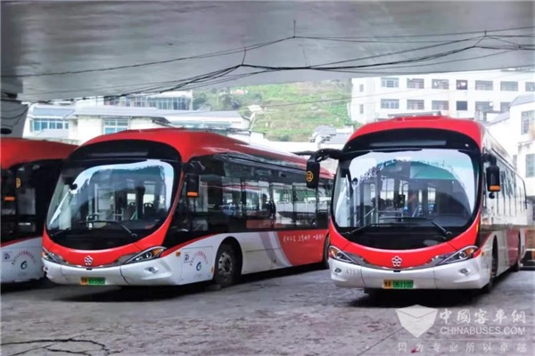 低地板 宽通道 大肚量！贵阳公交如何评价格力钛“海豚巴士”？