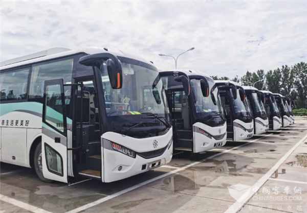 连通白洋淀景区交通线 格力钛新能源公路车再入雄安新区