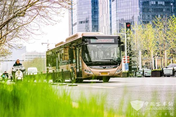 这些公交一到春天就美成了画!