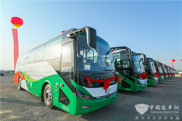 从技术独立到多领域融合 宇通创领氢能商用时代