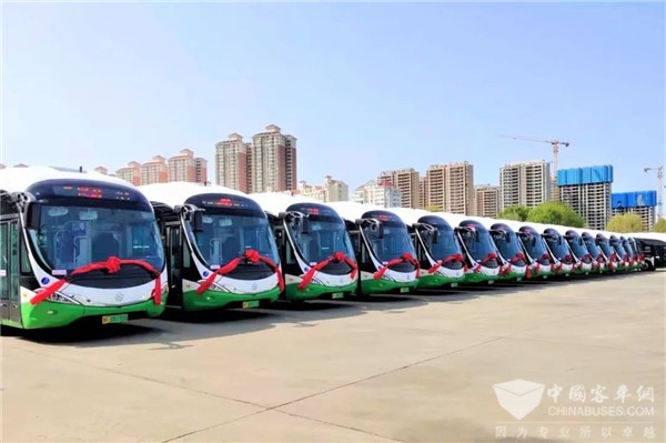 格力钛海豚公交入驻烟台 植入城市绿色新动力  