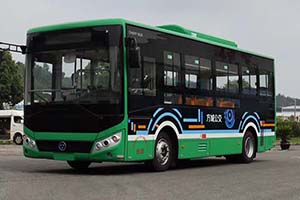 奇瑞万达批量交付张骞故里 助力方城构建现代交通运输体系