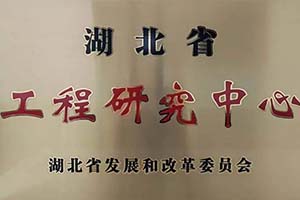 湖北省唯一企业 “车桥技术湖北省工程研究中心”落户东风德纳