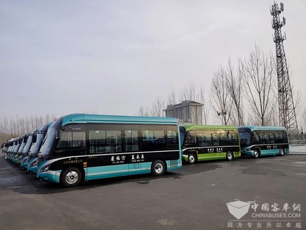 格力钛新能源 双层脸谱巴士 海豚公交车 山西临汾