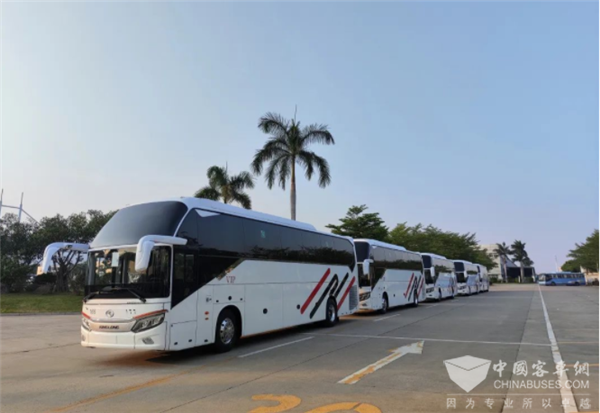 畅行“一带一路” 金龙定制版龙威II代出口沙特赴朝觐