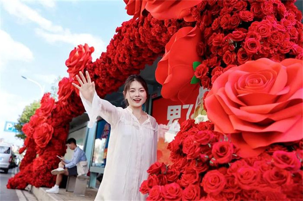 超浪漫！昆明这个公交站公交站“开”满玫瑰