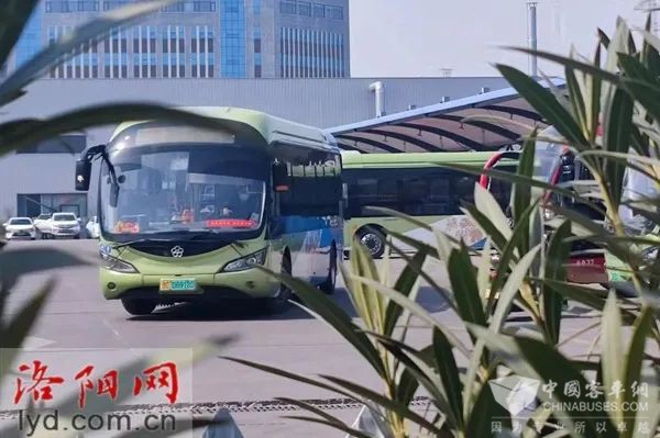 洛阳公交 续优化调整 公交线路 公交调线