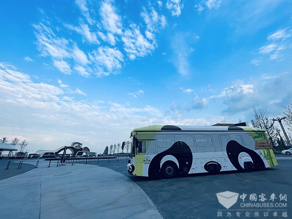 成都公交 杭州公交 熊猫巴士 公交主题车