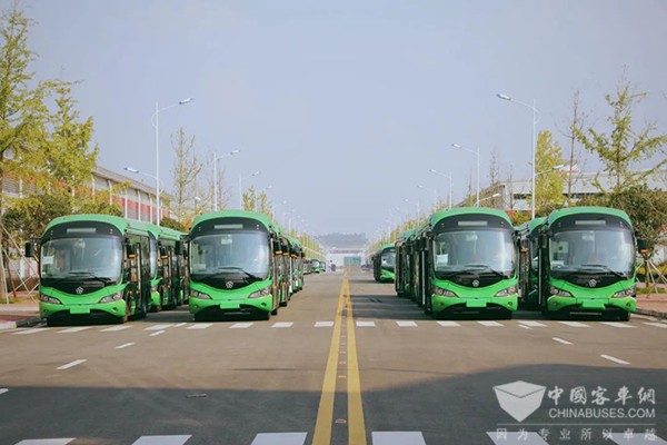 格力钛新能源 欣赏 不同地方 最美秋色 陪伴你左右