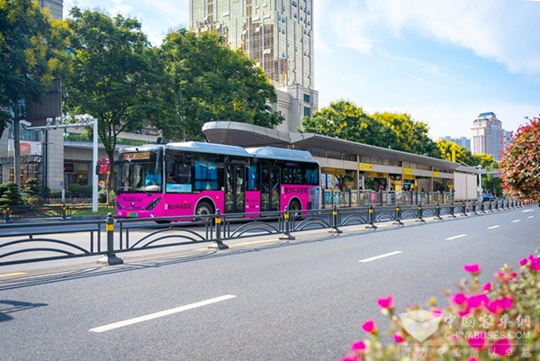 宜昌公交 无公交 便民服务 最后一公里