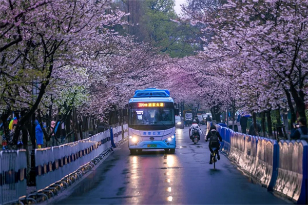 主动填补空白、适应出行新变化 南京公交2023年做了这些实事