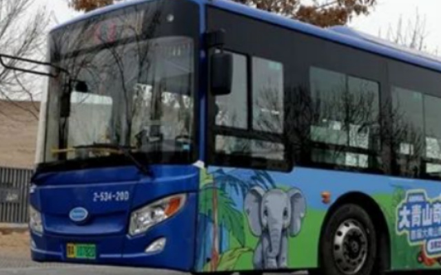 呼和浩特“花样”公交 带你走进大青山“奇幻动物之旅”