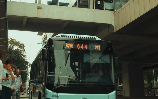 重庆公交644路 藏着一座城市的“温度”