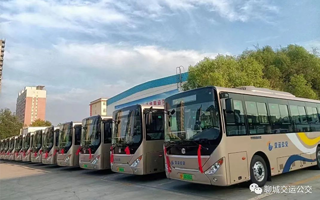 聊城交运公交有限责任公司信息公开