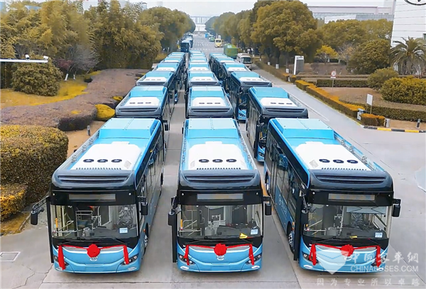 苏州金龙百亿答卷：新质生产力赋能!国内销售额同比增长36%