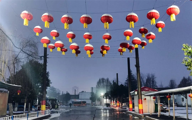 洛阳公交“写”春意 春联福字送温馨