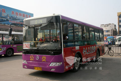 衡水公交总公司使用的金旅公交车