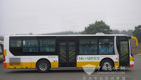 即将交付东营公交的中通天然气公交