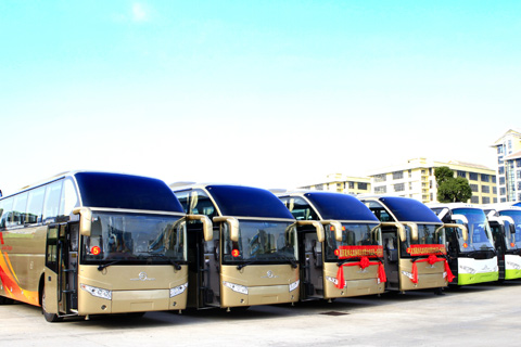 金旅36辆大中型豪华客车
