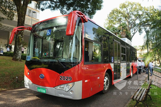 于坎皮纳斯投入使用的比亚迪12米纯电动大巴