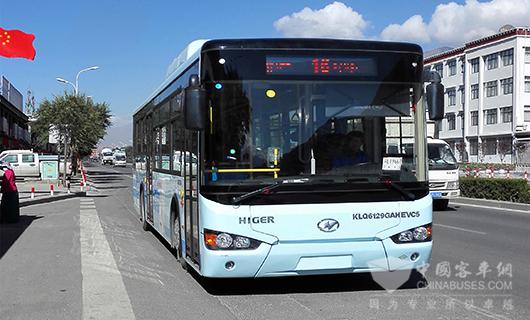 拉萨街头的海格新能源客车