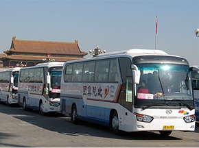 大金龙2008年十大新闻