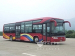 桂林大宇新型公交参加东盟博览会
