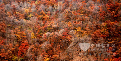天水境内山脉绵延不绝,林深草茂,风光奇佳