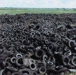 美科学家开发轮胎节能新材料 植物提取物为主原料