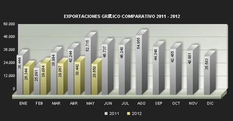 5月份阿根廷汽车销量数据图3